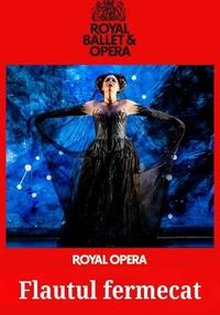 Poster Flautul fermecat